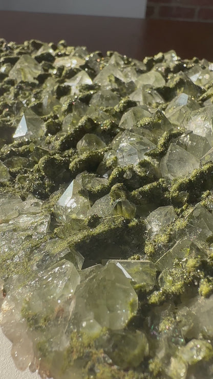 Fairy Forest Epidote Quartz Statement Cluster