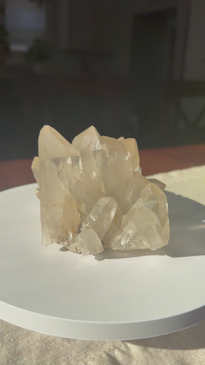 Himalayan Smoky Quartz Cluster