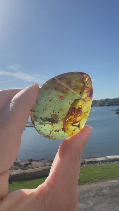Colombian Amber