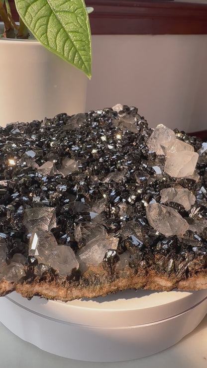 Black Epidote Quartz Statement Cluster