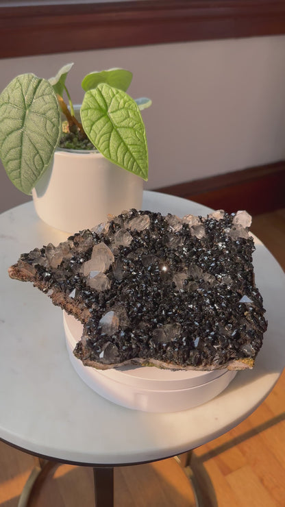 Black Epidote Quartz Statement Cluster