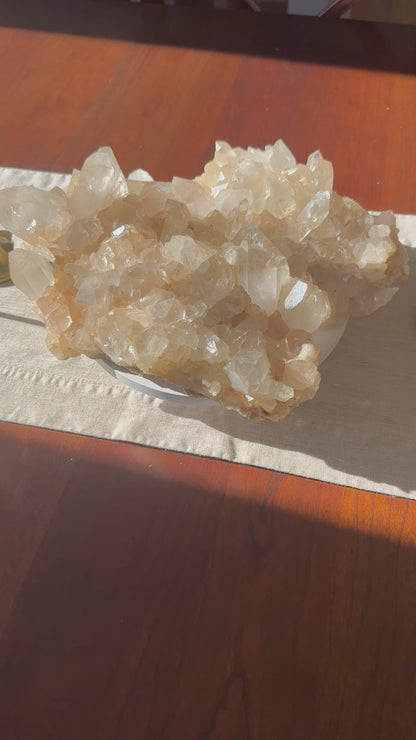 Statement Himalayan Quartz Cluster