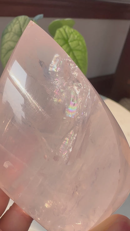 Girasol Rose Quartz Flame with Custom Gold Stand