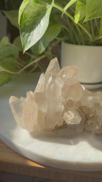 Himalayan Smoky Quartz Cluster