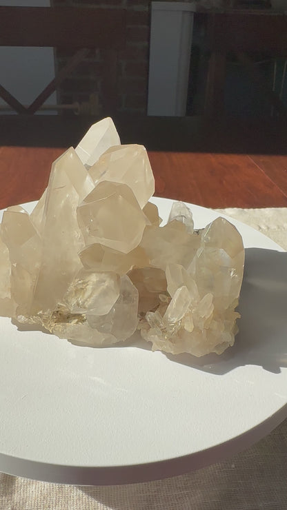 Himalayan Smoky Quartz Cluster