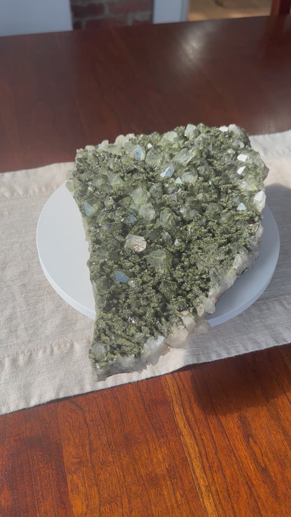 Fairy Forest Epidote Quartz Statement Cluster