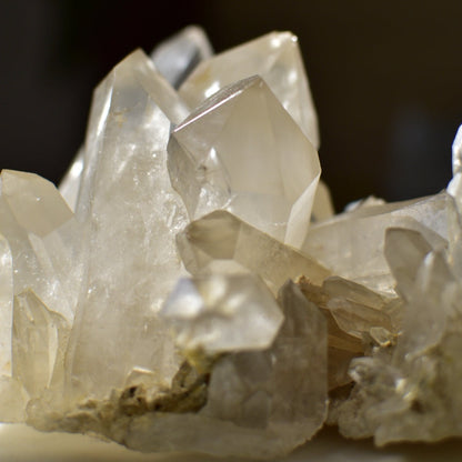 Himalayan Smoky Quartz Cluster